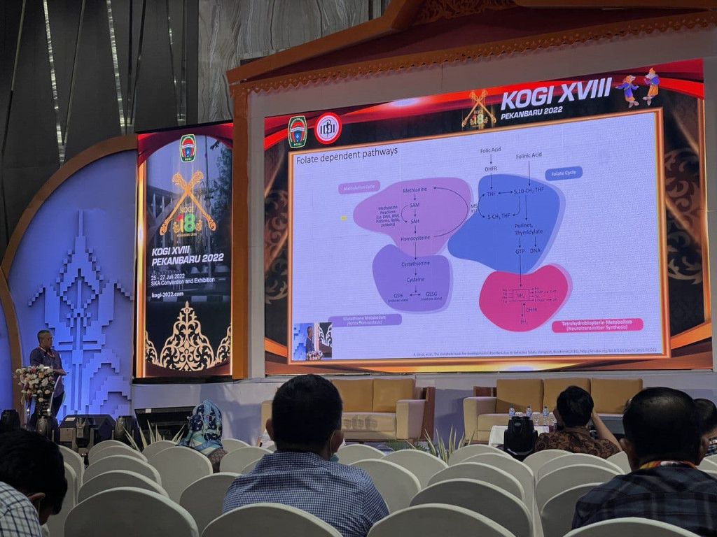 WhatsApp Image 2024-09-10 at 14.49.33.jpeg