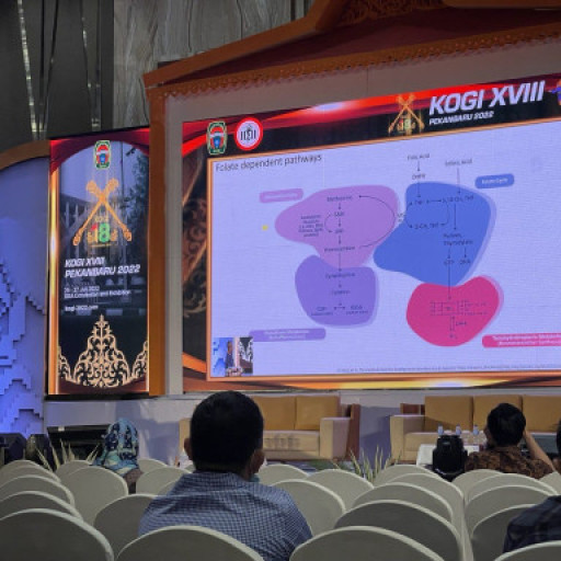 WhatsApp Image 2024-09-10 at 14.49.33.jpeg